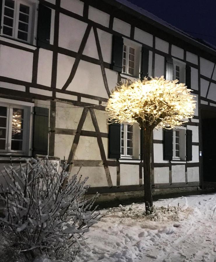 Gemuetliche Fachwerkwohnung Alfter Экстерьер фото