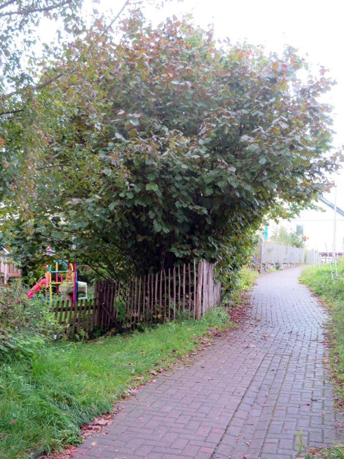 Gemuetliche Fachwerkwohnung Alfter Экстерьер фото